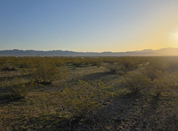 306-44-005C Estrella, Golden Valley, AZ 86413