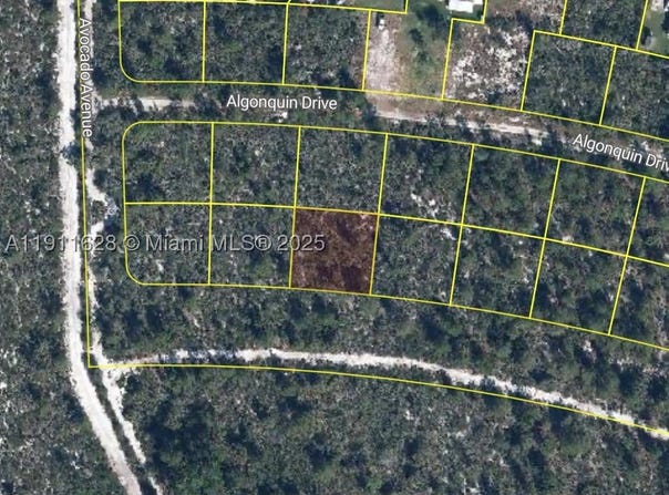 2224 Carla Ave, Sebring, FL 33875