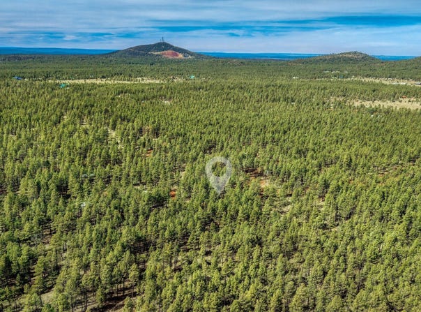 4.74 Acres Birdsong Way, Lakeside, AZ 85929
