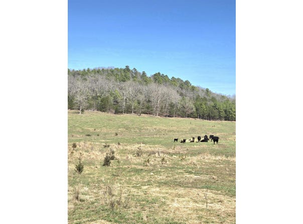 311 Rock Hill Road, Dolph, AR 72528