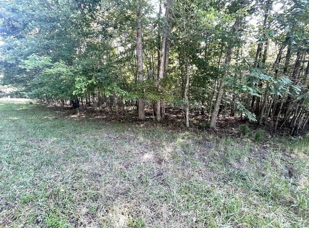 91A&91B Holly Ln lot: 91A&B, Spencer, TN 38583