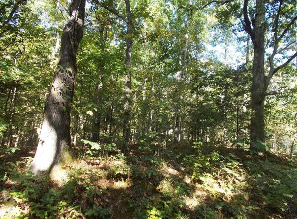 Bounty Ln, CAMDEN, TN 38320