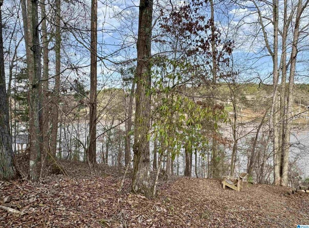 WRIGHT WAY DRIVE lot: 78, WEDOWEE, AL 36278