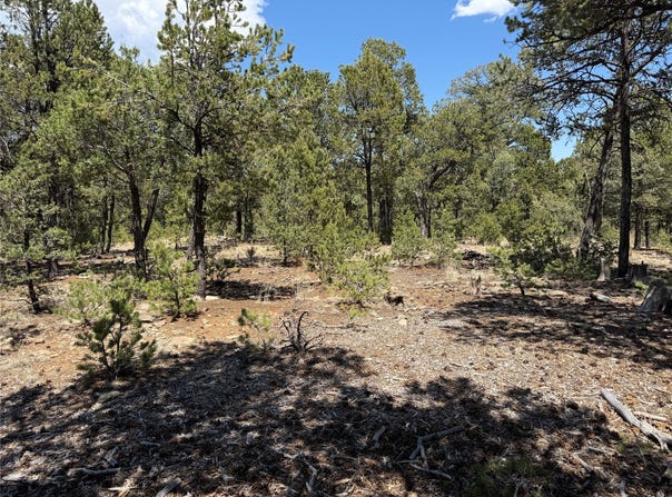 Dancing Hawk Drive lot: 20, Pecos, NM 87552