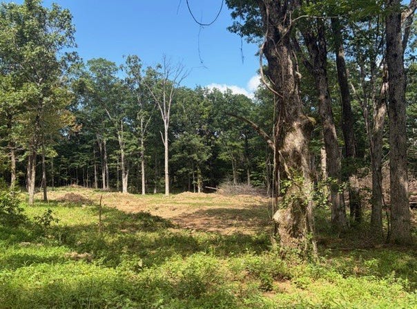Freedom Road, Winslow, AR 72959