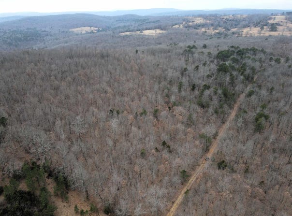 Jack Vaughn Road, Clinton, AR 72031