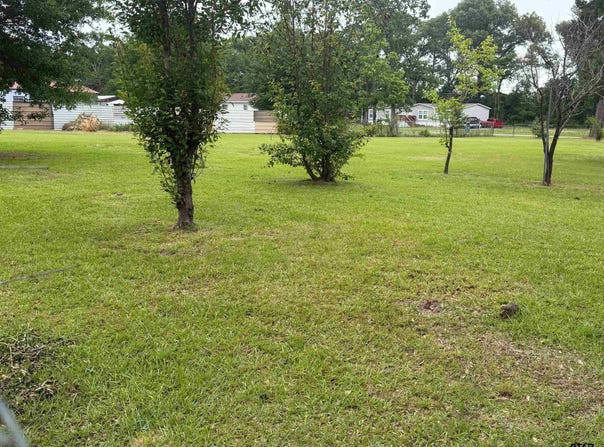 Cutter Drive, Frankston, TX 75763