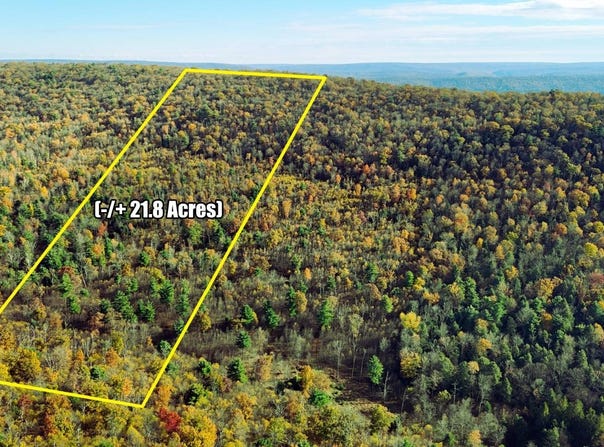 Duck Gap Road lot: 2, Rebersburg, PA 16872