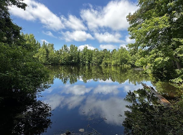 Co Rd 881, Jones, AL 36749