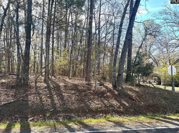 Holley Ferry Road, Leesville, SC 29070-0000