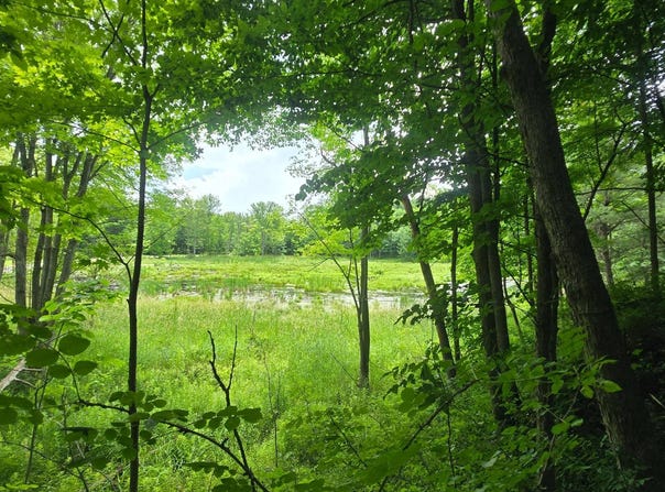Williams Rd, Gouverneur, NY 13642