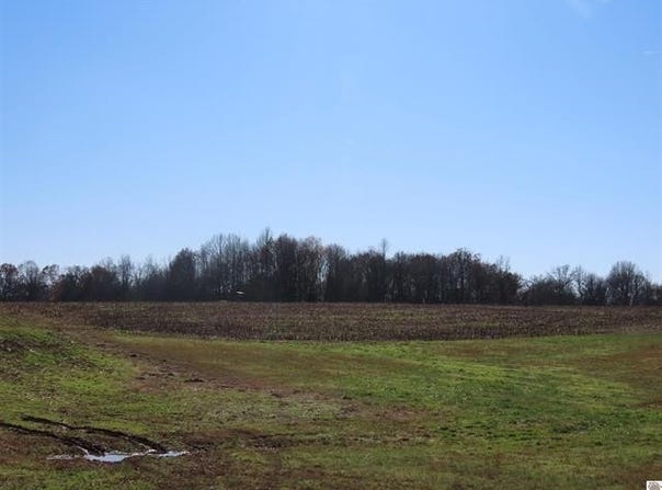 ST RT 45 S Boyd, Wingo, KY 42088