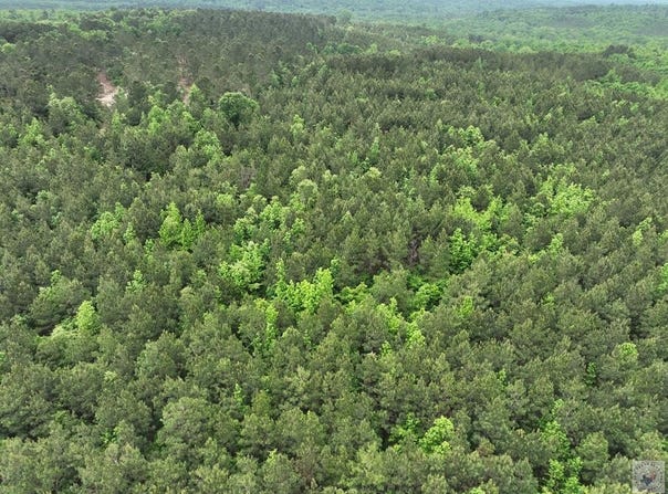 CR 2227, Douglassville, TX 75560