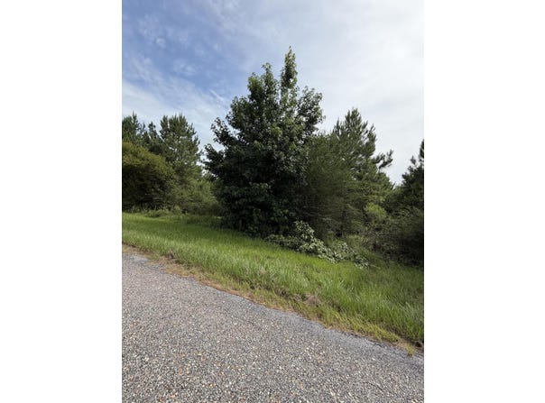 Parcel 2 R Thompson, Lumberton, MS 39455