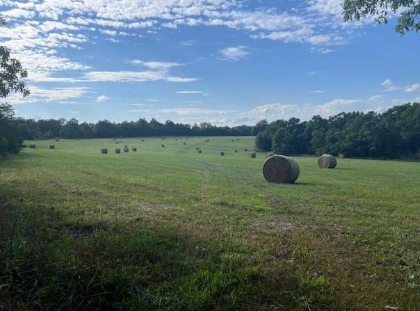 1550 TBD County Road, Compton, AR 72624