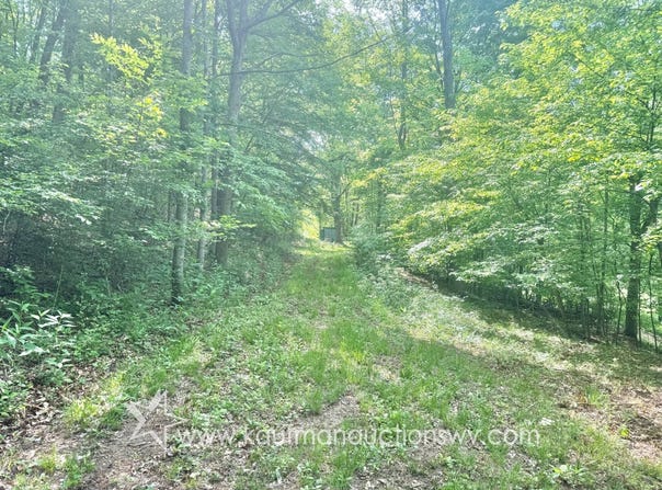Big Pigeon Rd, Procious, WV 25164