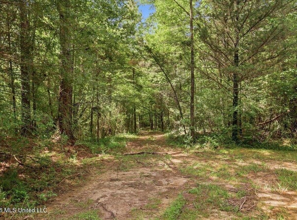 077 Potluck Road, Canton, MS 39046