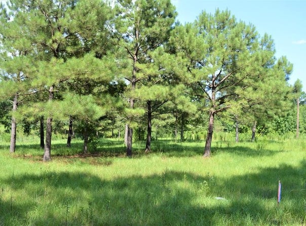 ... Biltmore Drive, McComb, MS 39648