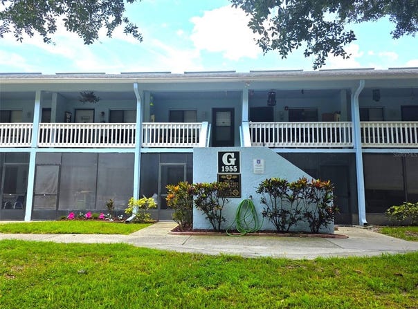 1955 ABRICO Drive, LUTZ, FL 33558