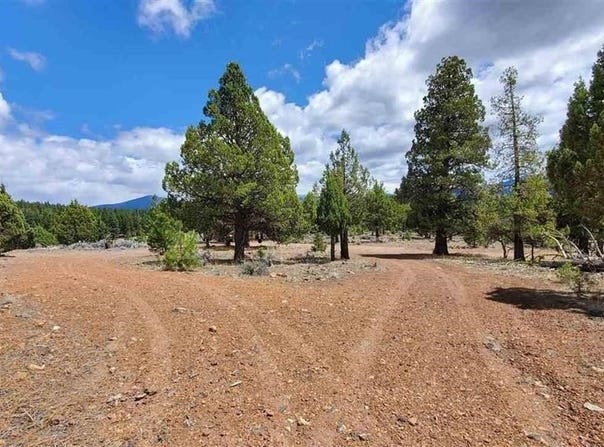 Robison Rd., Macdoel, CA 96058
