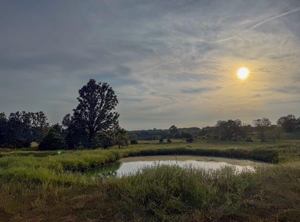 4420 State Route Dd, Willow Springs, MO 65793