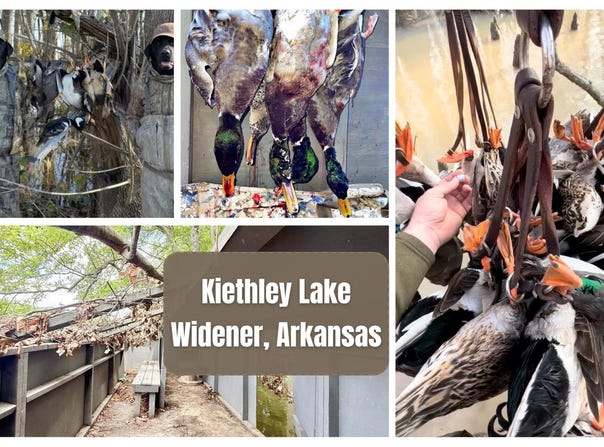 SFC 431 Road, Widener, AR 72394