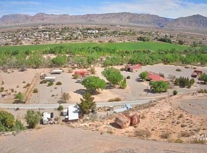 Cactus, Littlefield, AZ 86432