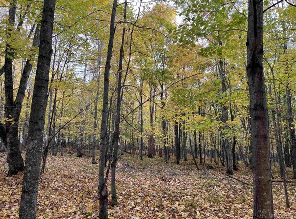 Porcupine Lake Road lot: 6, Long Lake, WI 54542