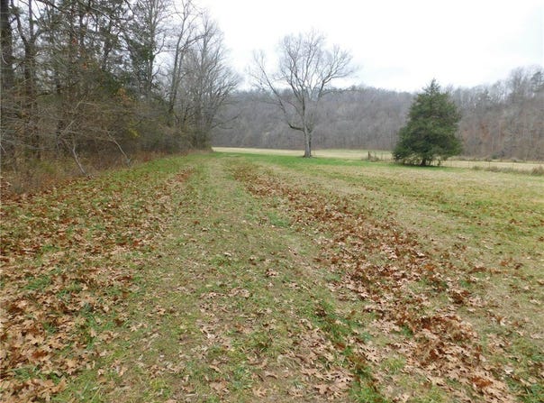 NC 8330 lot: 0, Jasper, AR 72641