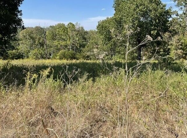 Lane Branch Road, Hurley, MO 65675