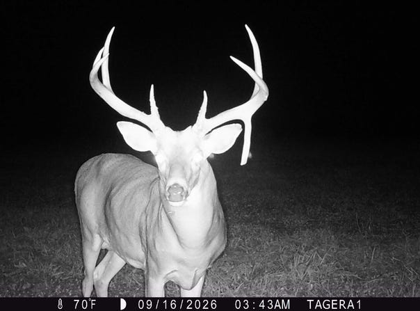 Pike 443, Curryville, MO 63339