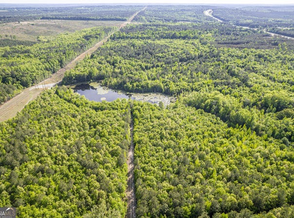21701 Highway 441, Mcintyre, GA 31054