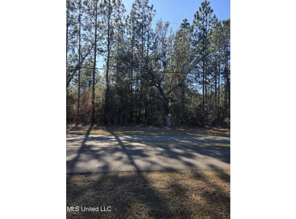 E Lake Cypress Drive, Perkinston, MS 39573
