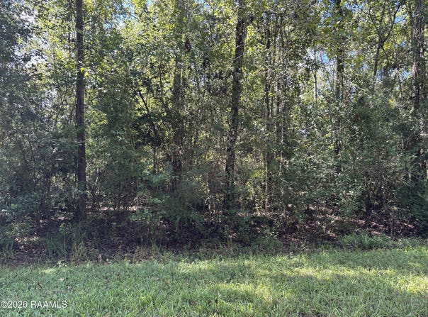 Cecil Lane lot: 47, Abbeville, LA 70510