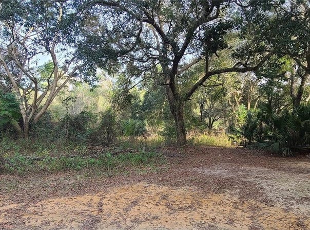 17205 SE 252ND Avenue, UMATILLA, FL 32784