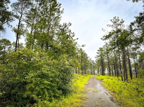 4 CR 257, Jasper, TX 75951