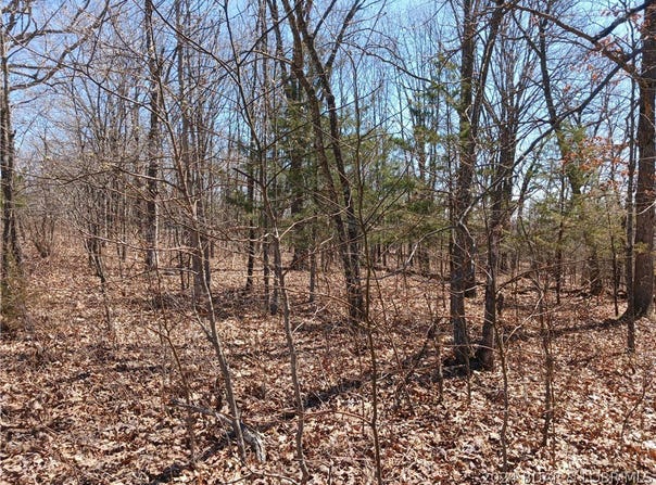 Fresno Lane, Versailles, MO 65084