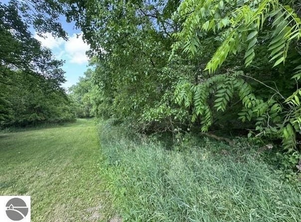 N Lincoln, Stanton, MI 48888