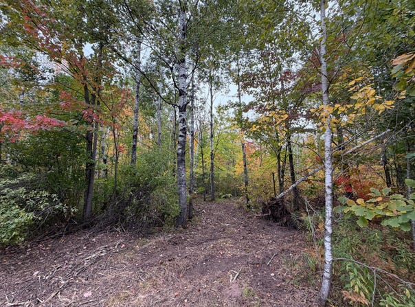 51449 Sand Creek Rd, Bruno, MN 55712