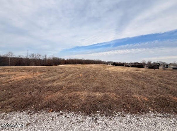 Rain Tree Circle, Loma Linda, MO 64804