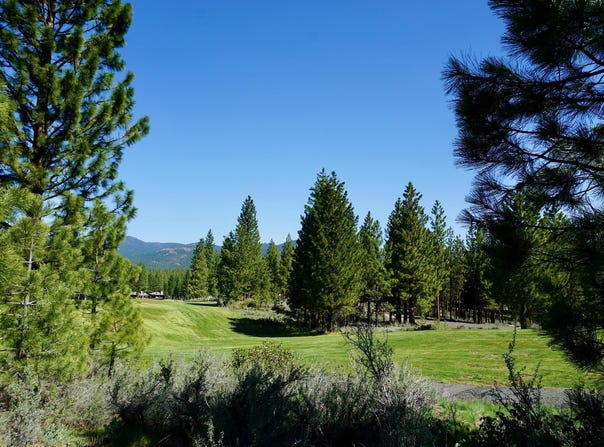 1034 Great Spirit lot: 406, Portola, CA 96122