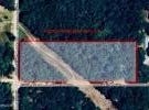 SUWANNEE OAKS Drive, O'Brien, FL 32071