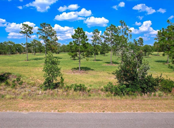 1150 Bethcar Church Road, Wagener, SC 29164