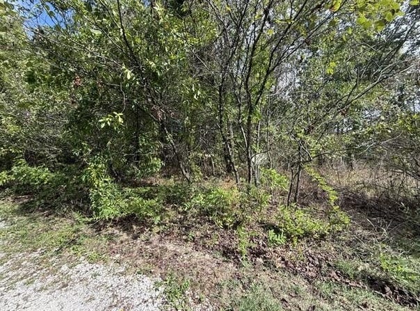 Walnut Circle, Flemington, MO 65650