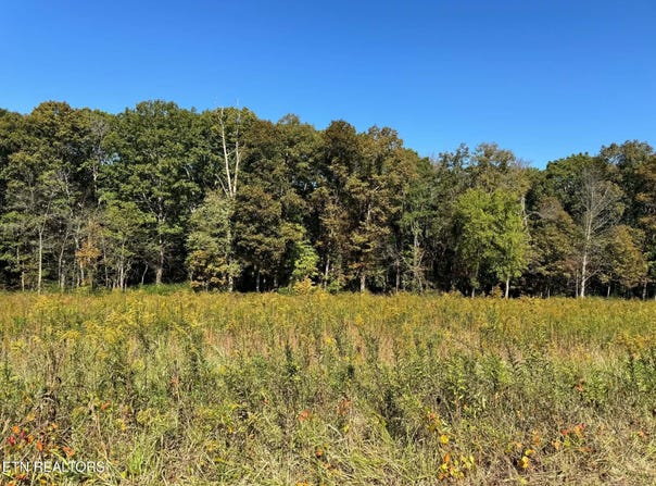 Golliher Rd, Rockwood, TN 37854