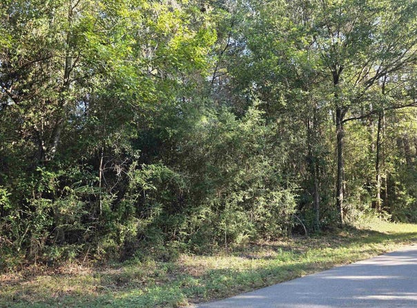 228 Co Rd 746, Buna, TX 77612