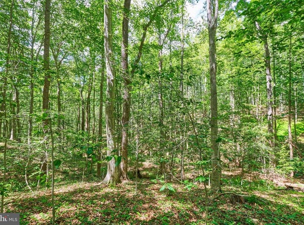 8228 SHADOWRIDGE DR, FAIRFAX STATION, VA 22039