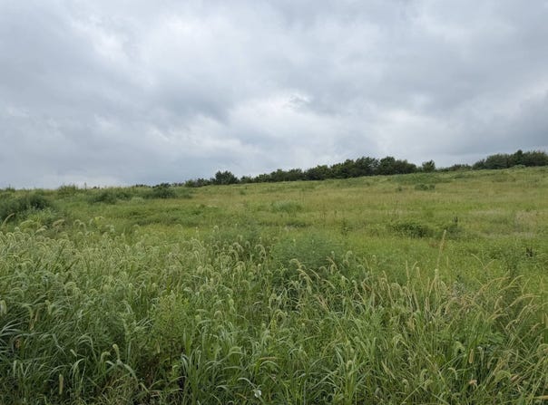 DD Blacktop, Pattonsburg, MO 64670