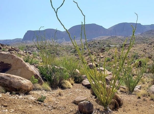 184 Black Hill Rd, Terlingua, TX 79852