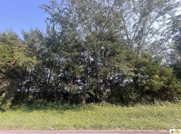 Britt Mill Road, Glasgow, KY 42141